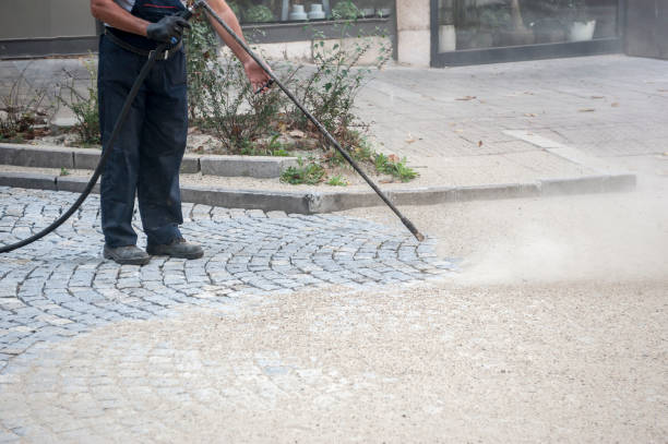 Best Driveway Pressure Washing  in Alvord, TX